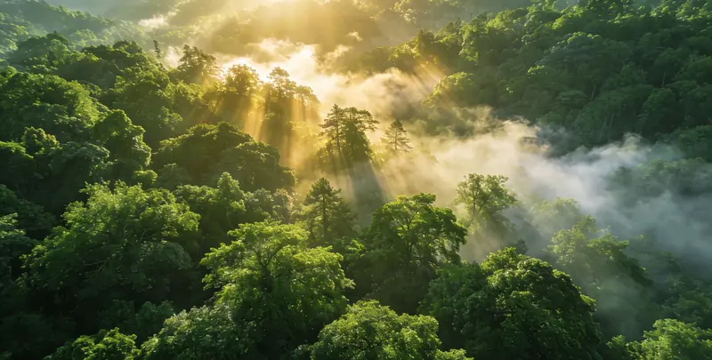贺州肺癌靶向39基因检测（组织）图片1